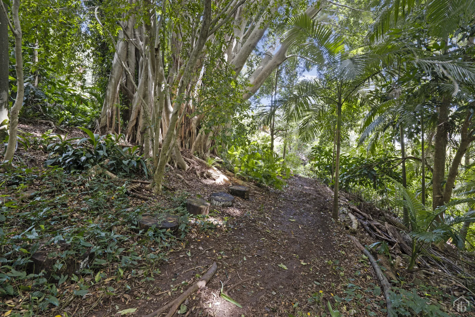 Additional image 17 of 18 Gladioli Avenue, Terranora NSW 2486