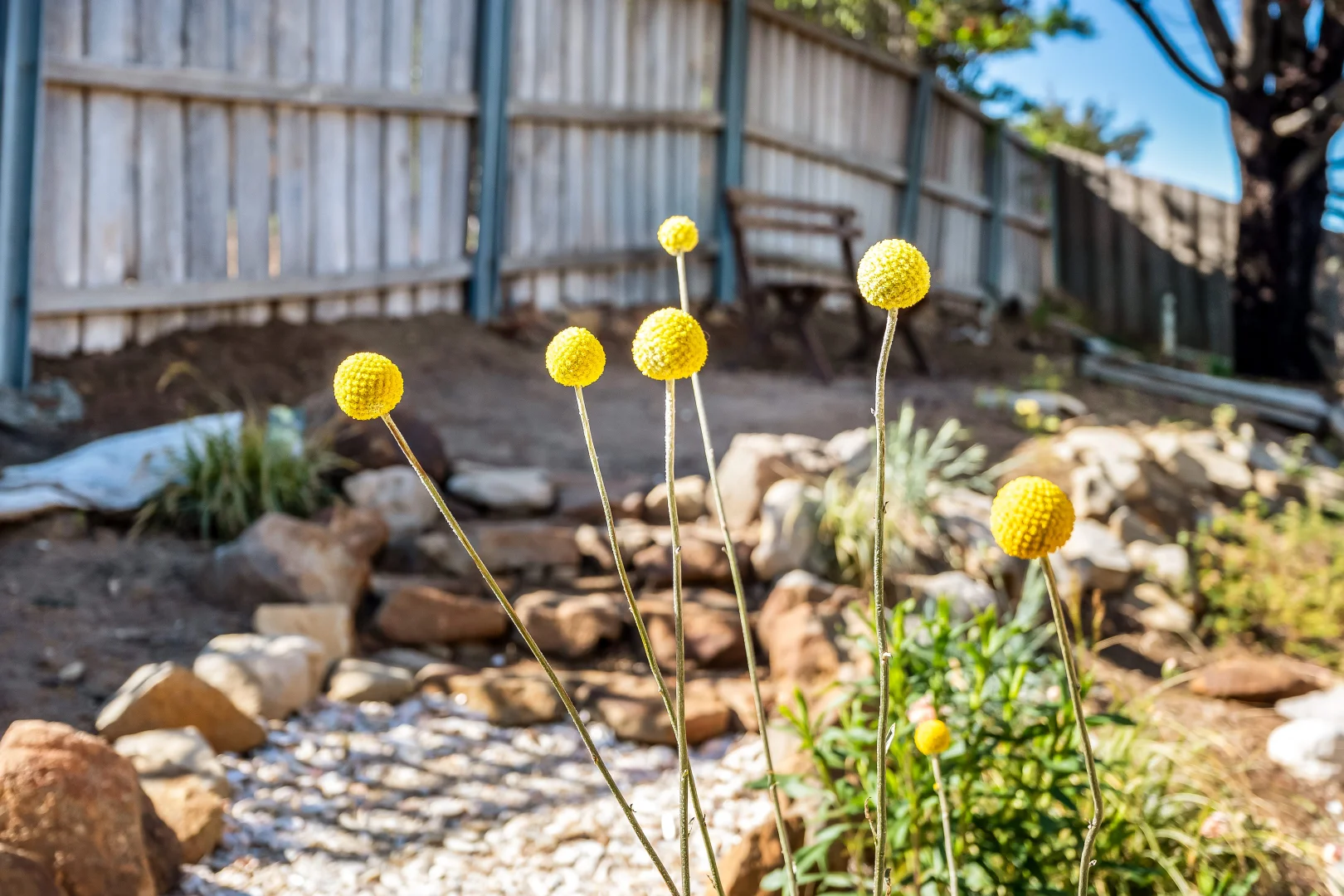 Additional image 46 of 2 Tapner Court, Triabunna TAS 7190