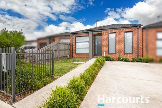 Picture of 21 Lacebark Street, DOVETON VIC 3177