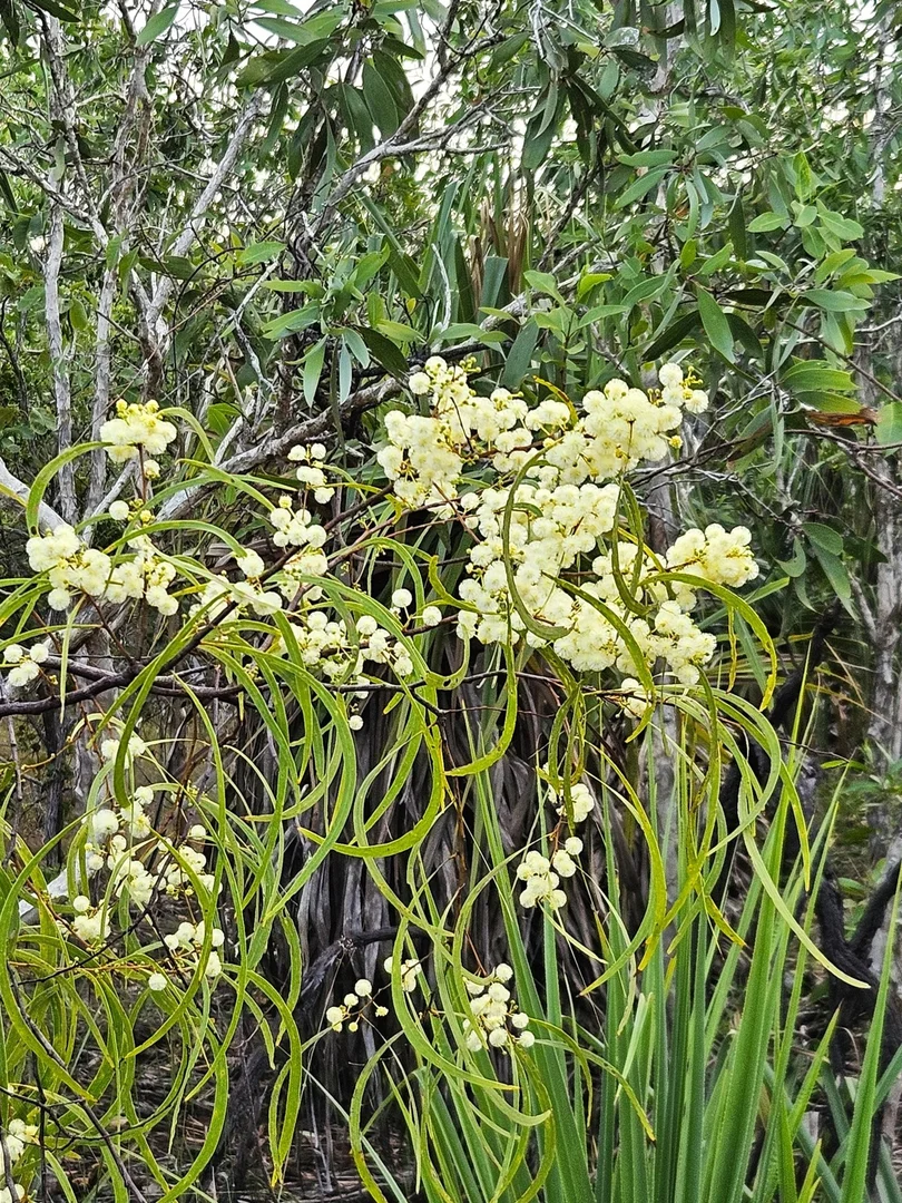 Image 17