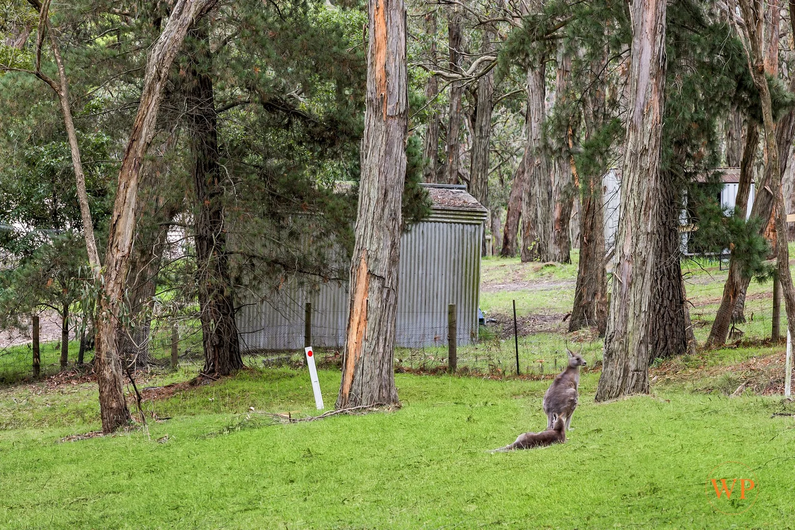 Image 16