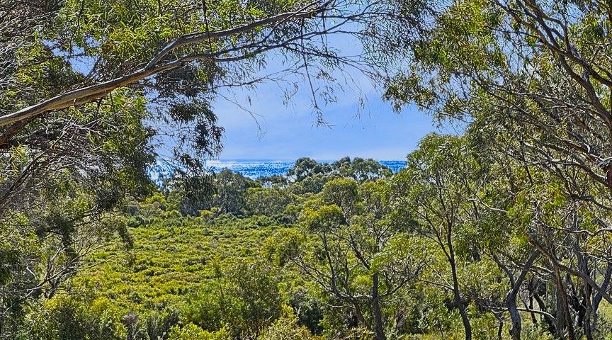 24 Jeanneret Crescent, Binalong Bay TAS 7216, Image 0