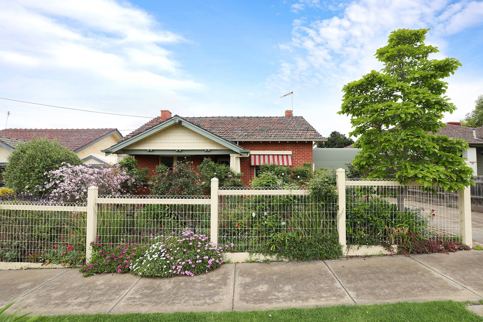 3 Monash Street, Ascot Vale VIC 3032 House For Rent Domain