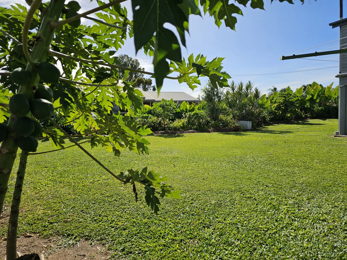 Image 33