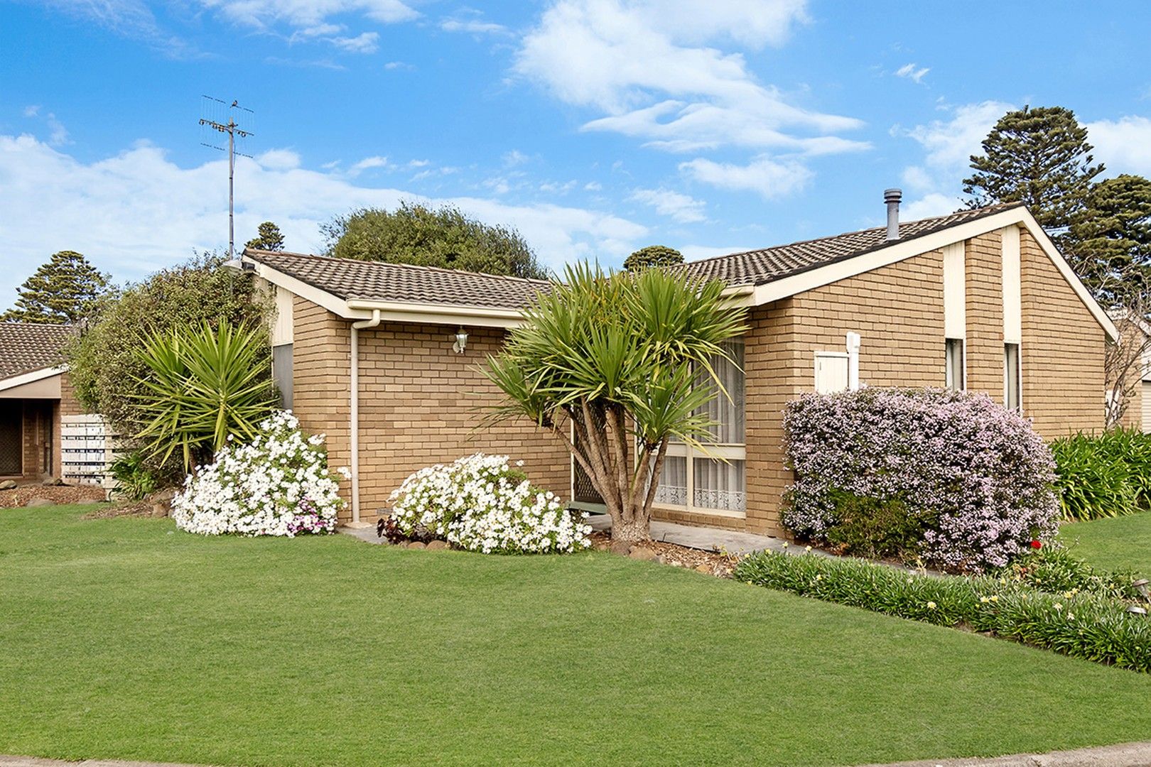 11 Gibbons Court, Warrnambool VIC 3280, Image 0