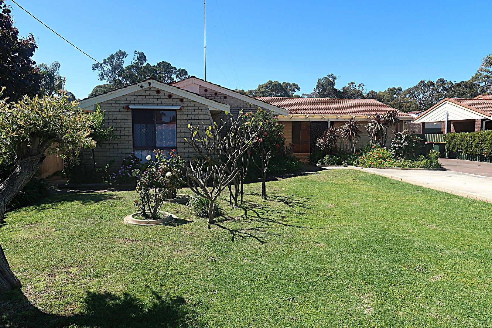 3 bedrooms House in 5 Bickerton Place EAST BUNBURY WA, 6230