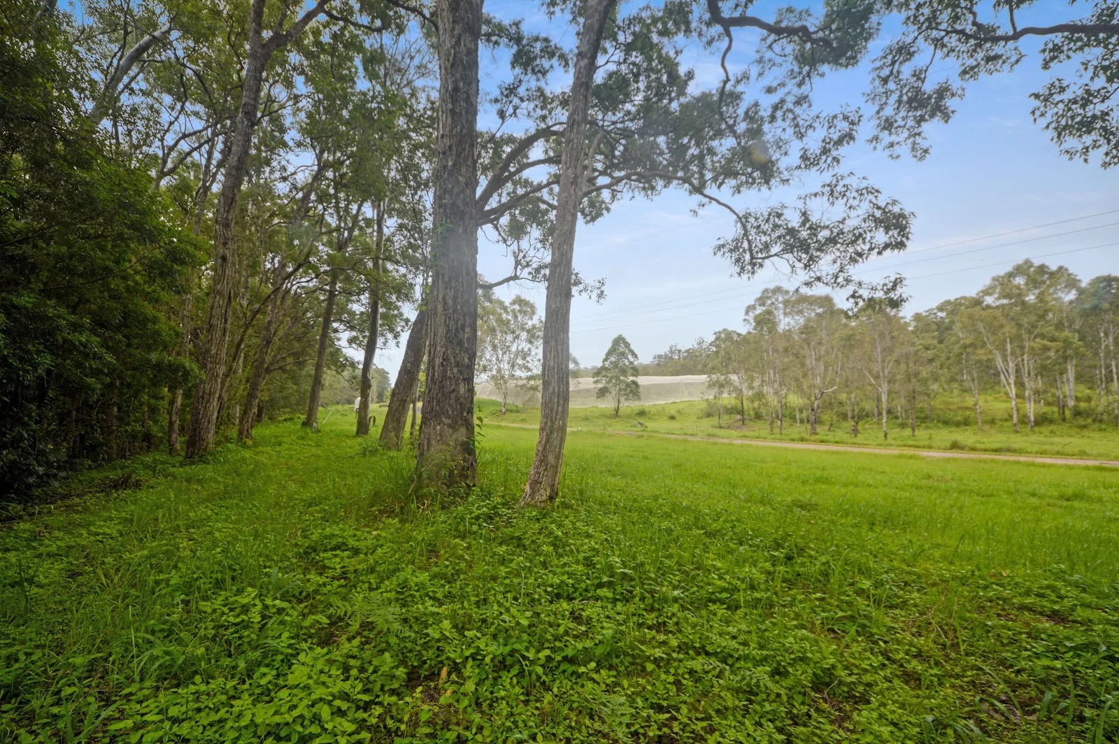 Additional image 9 of 1888 Tumoulin Road, Ravenshoe QLD 4888