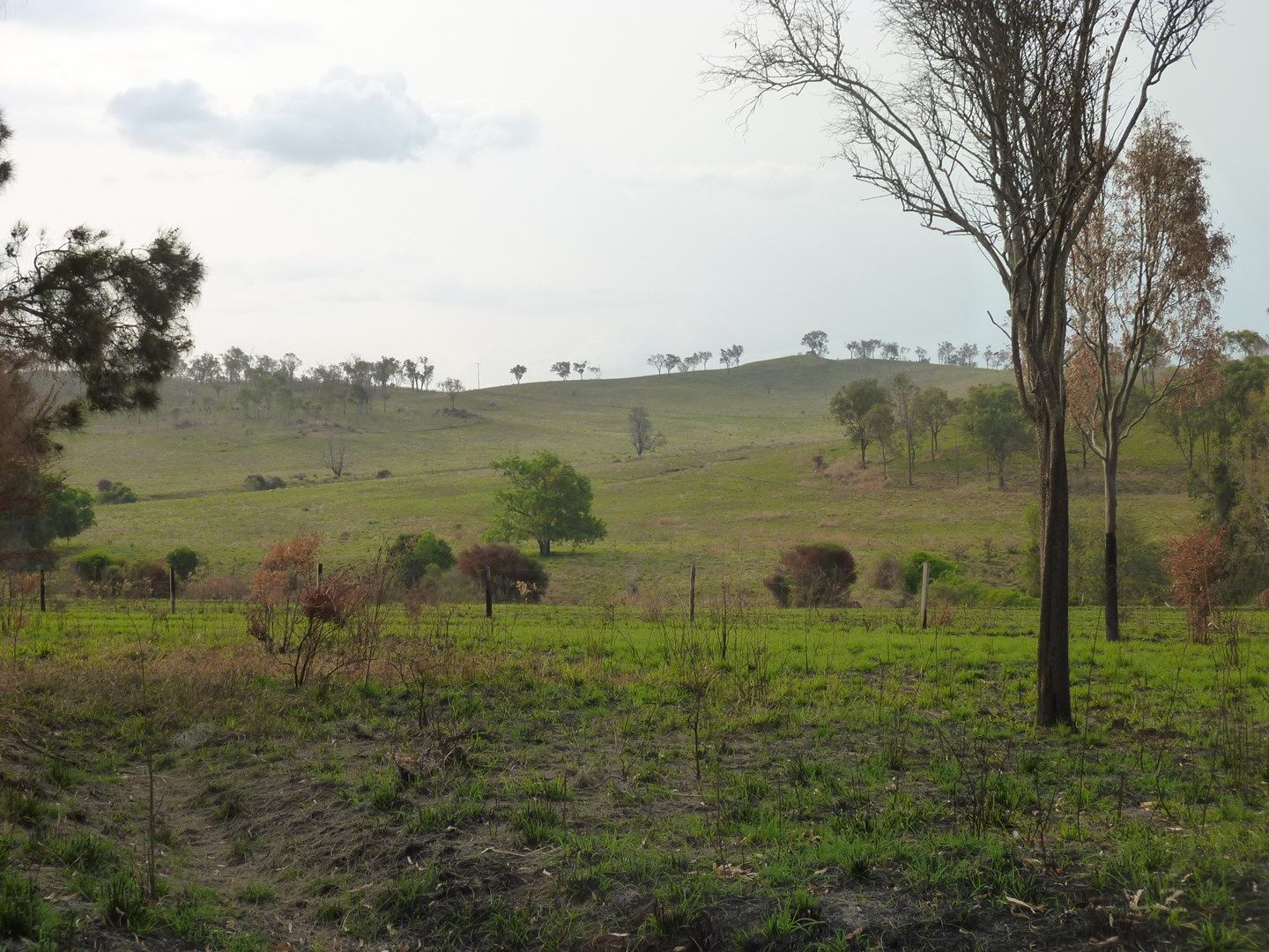 Lot 147 WILSON VALLEY ROAD, Coalstoun Lakes QLD 4621, Image 0