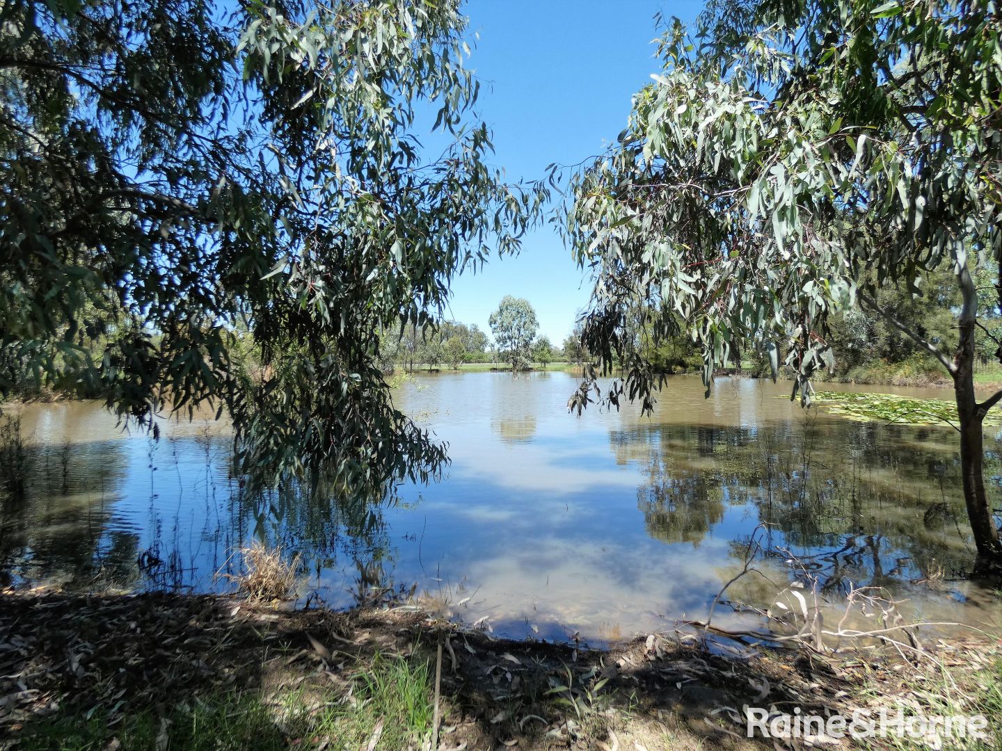 81 Bundaloey Road, Moree NSW 2400, Image 1