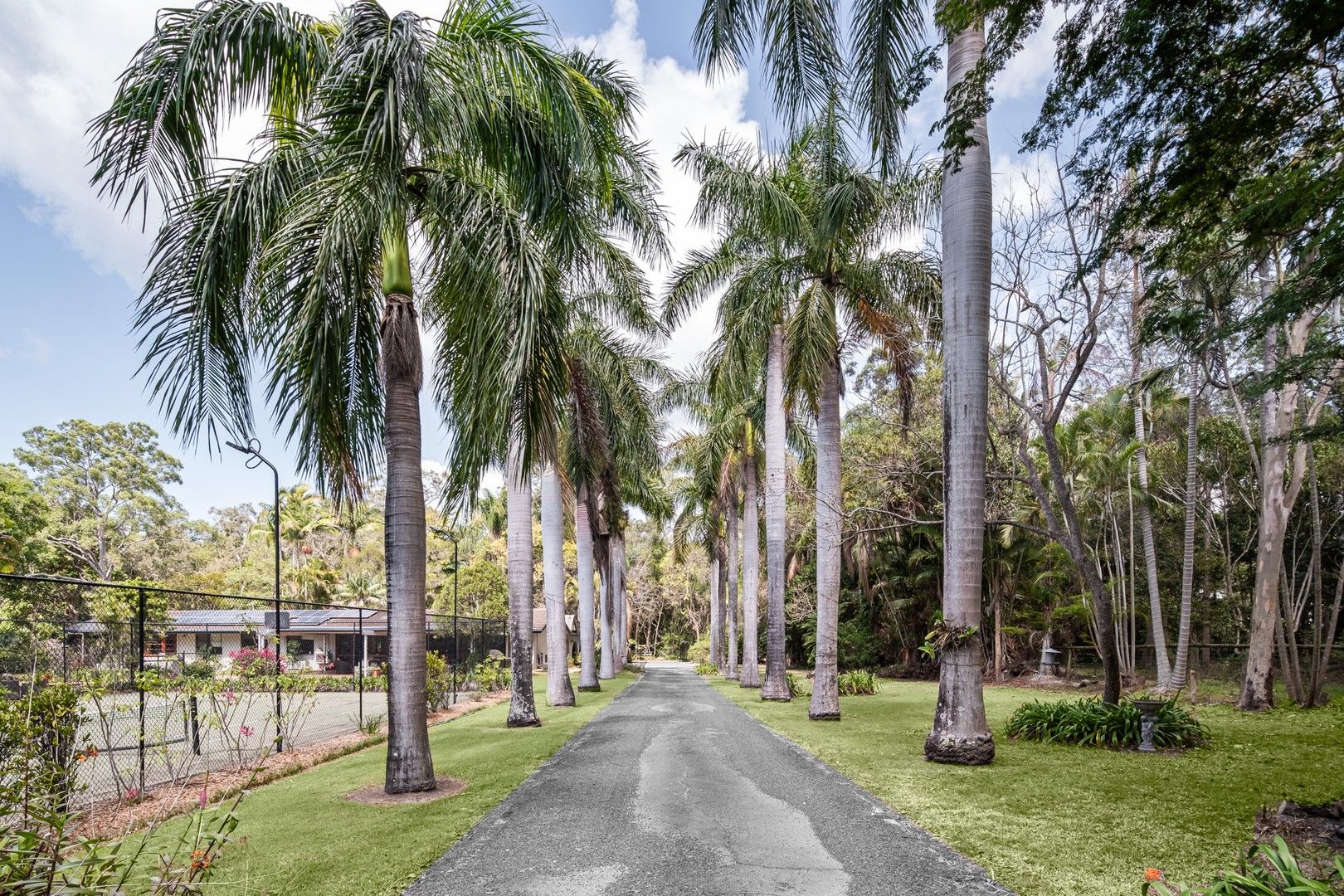 553 Grassdale Road, Gumdale QLD 4154 House for Sale Domain