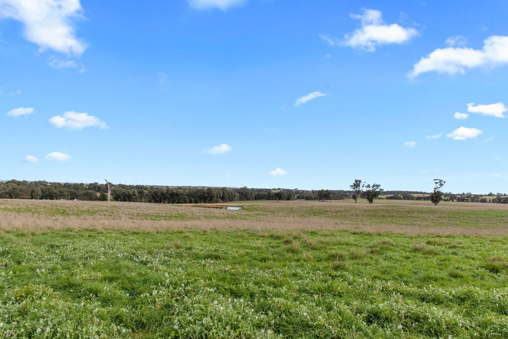 Lot 4 Craigs Lane, Knowsley VIC 3523, Image 2