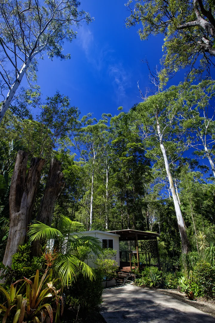 Additional image 7 of 126 Narrows Road, North Maleny QLD 4552