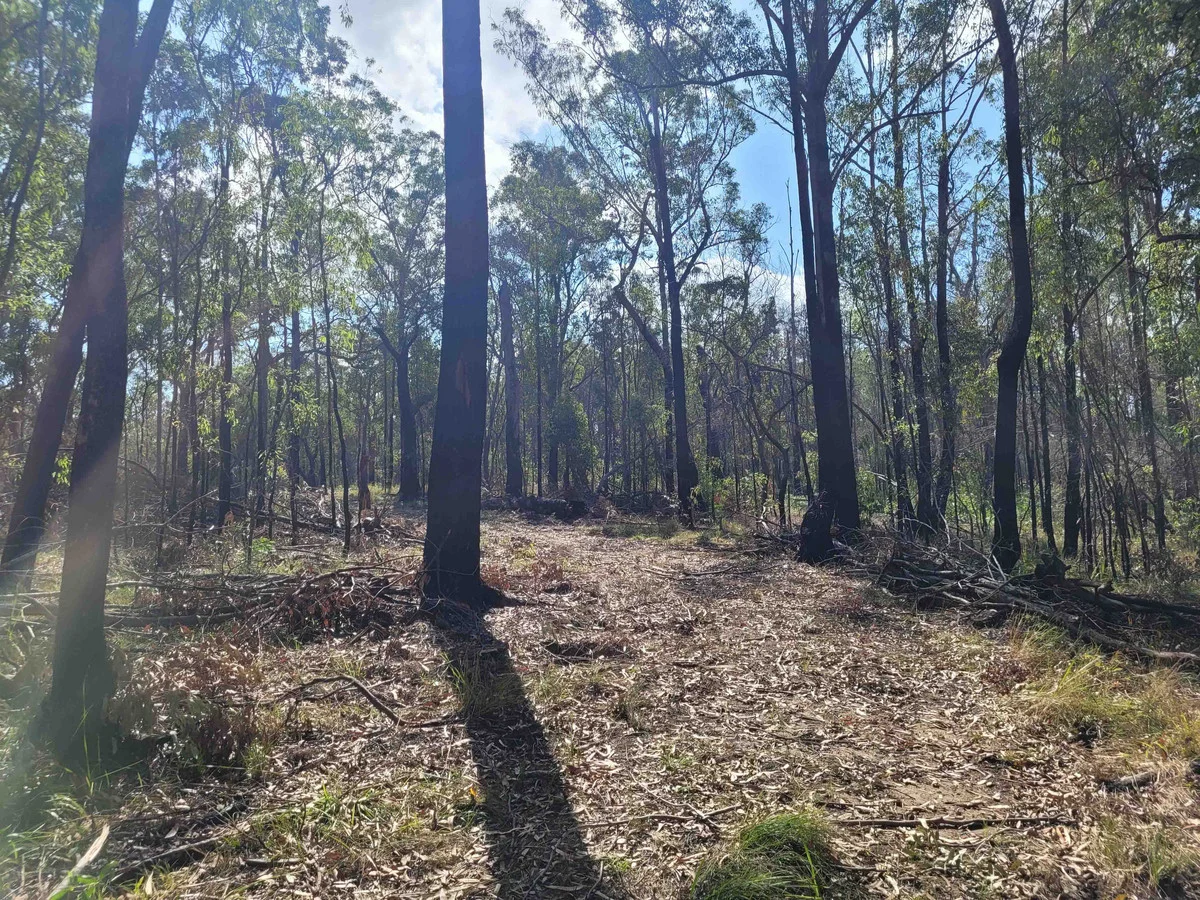 Image 12