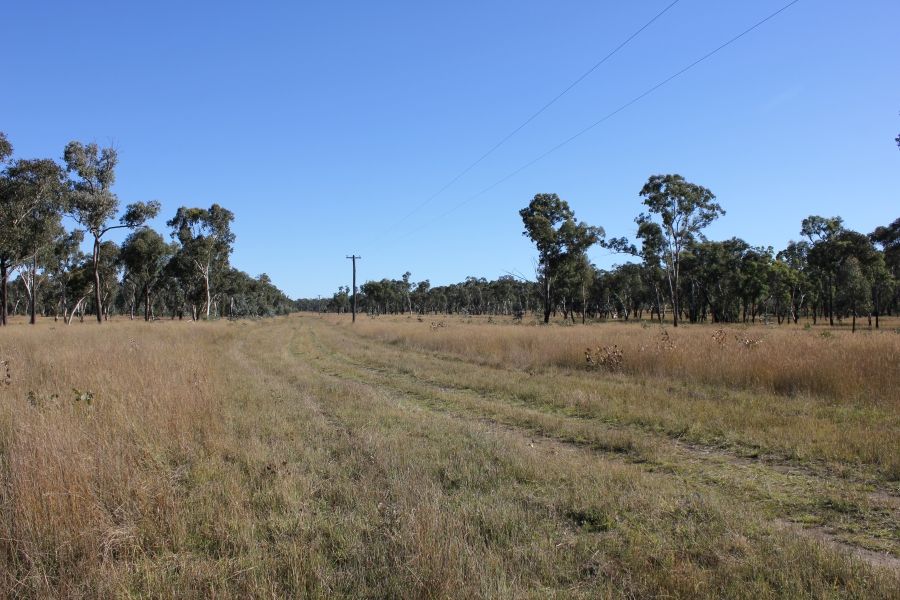 Thistledoo 14371 Guyra Rd, Tingha NSW 2369 House for Sale 399,000
