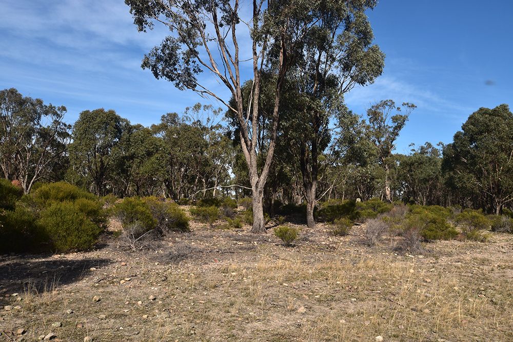 Corner Zegelin Road & Rushworth-Tatura Road, Waranga Shores VIC 3612, Image 2