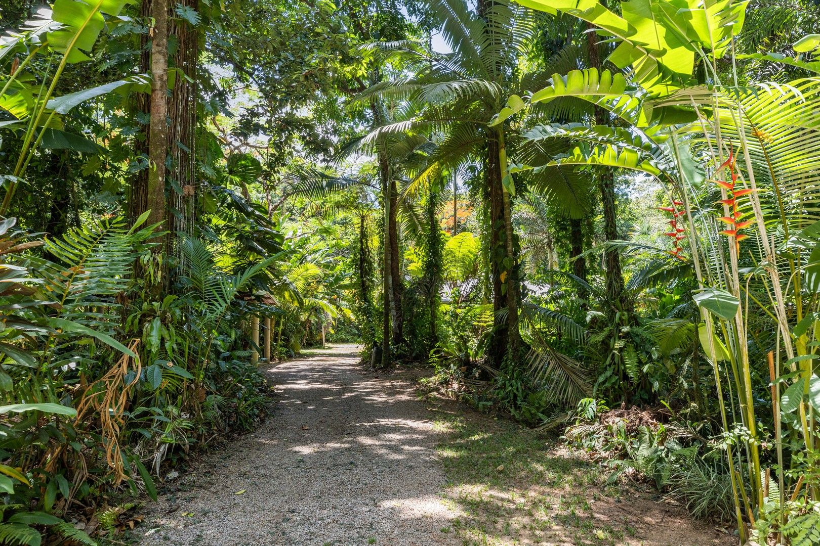 25 Hickory Road, Cow Bay, Daintree QLD 4873, Image 0