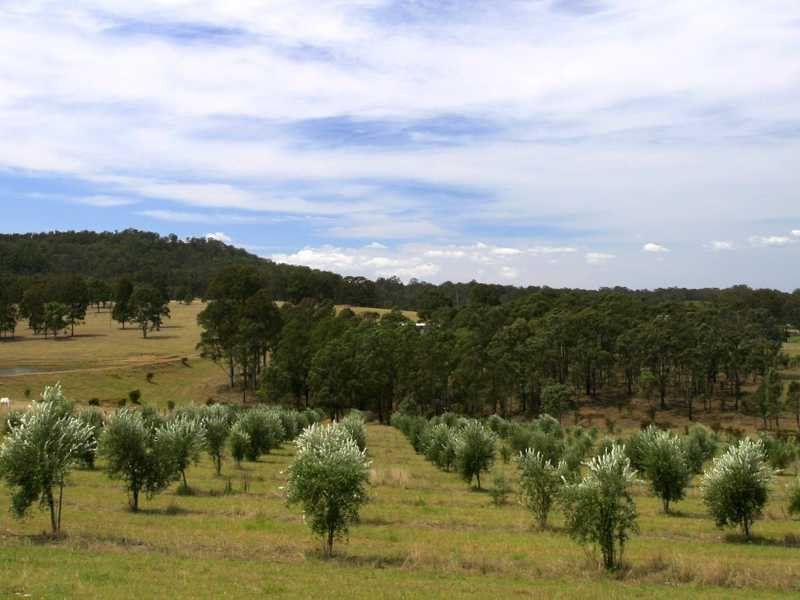 348 Talga Rd, LOVEDALE NSW 2325, Image 2