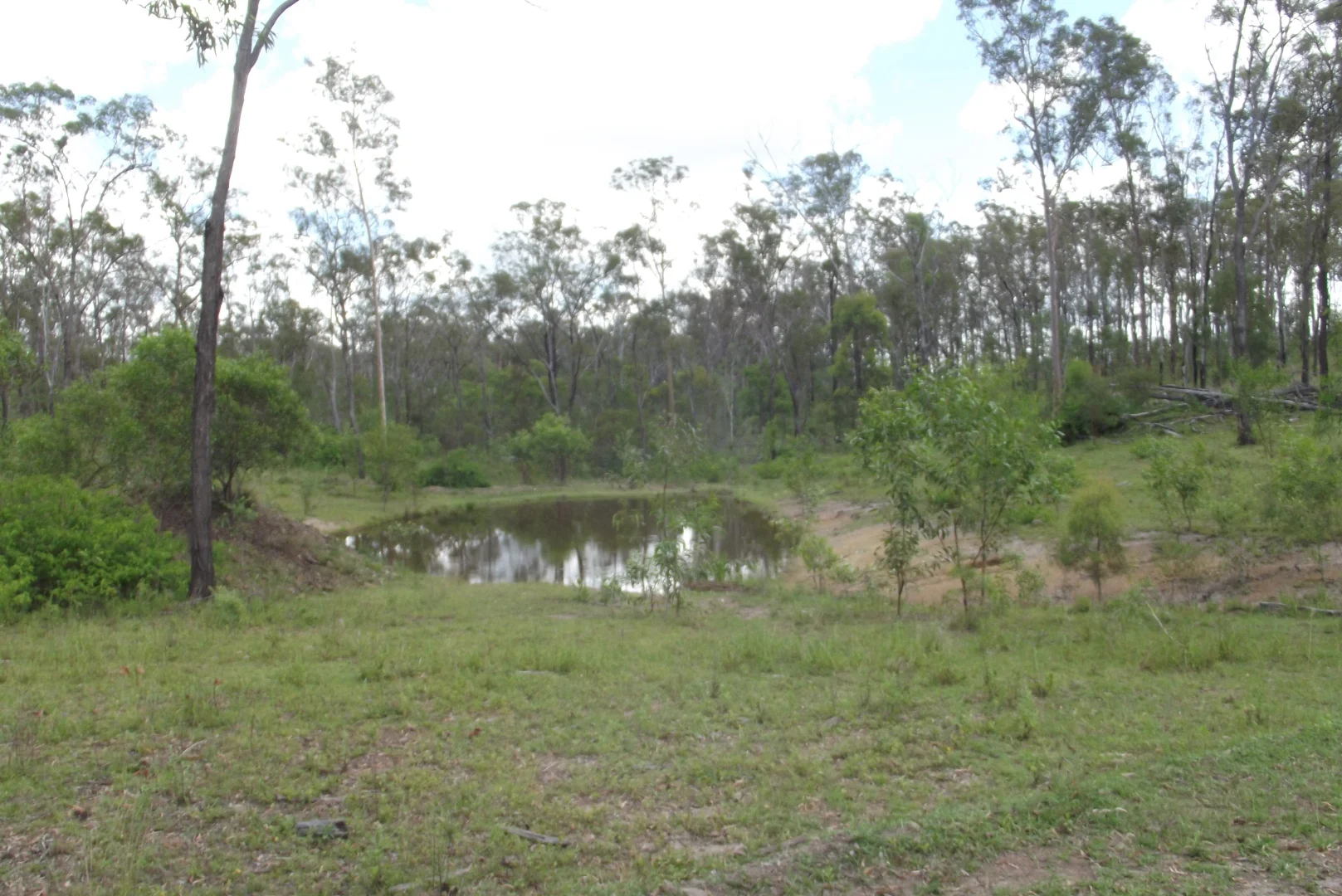 Image 11