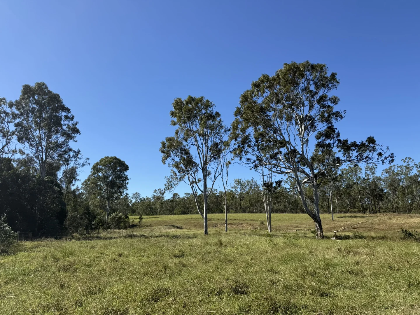 Image 13