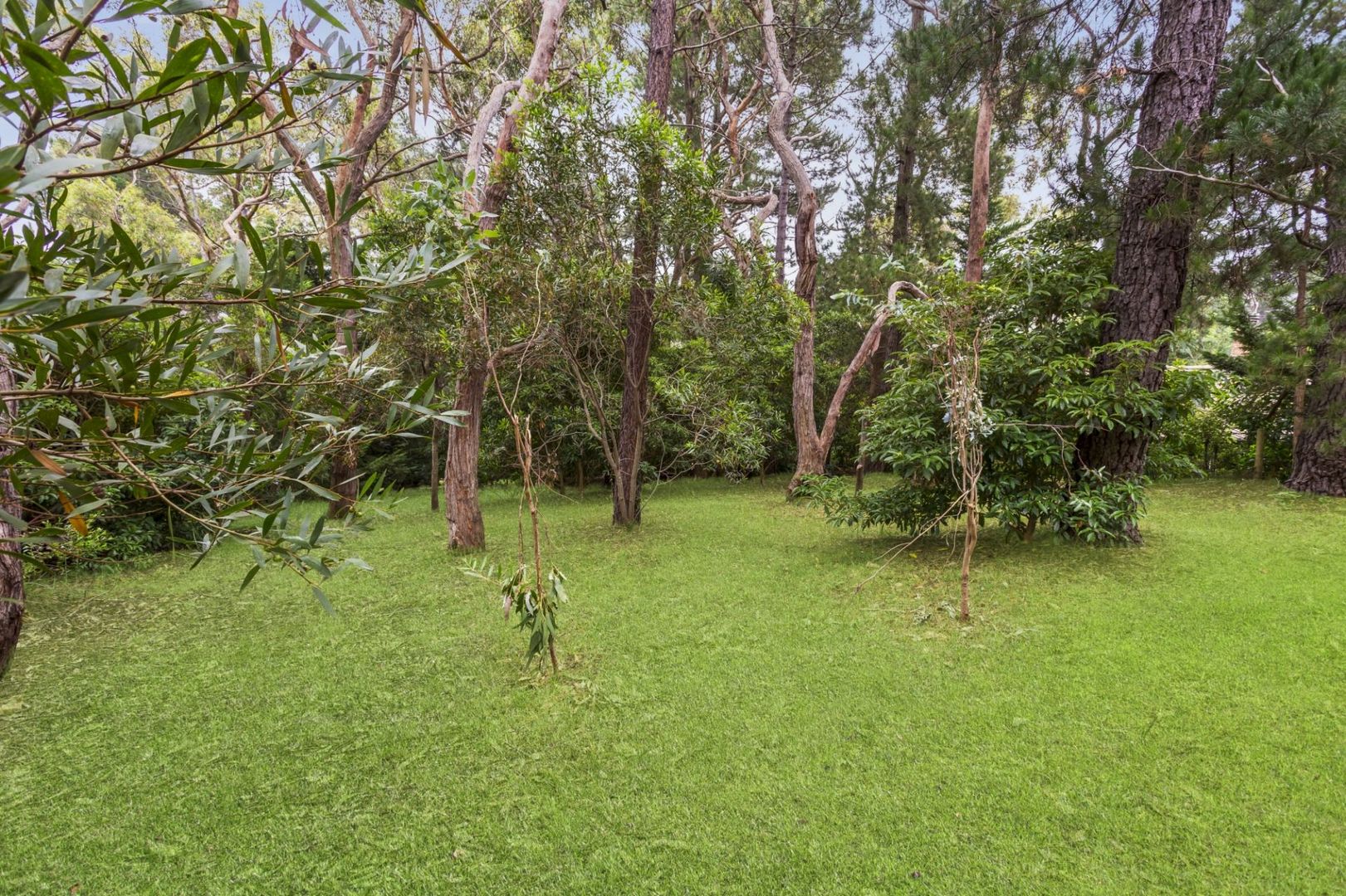 23 Heather Road, Aldgate SA 5154, Image 1