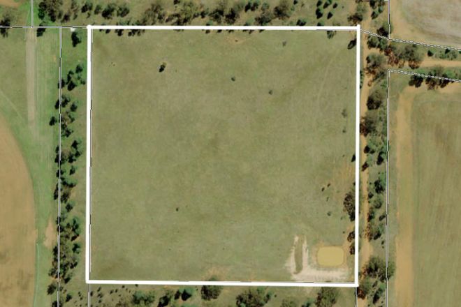 Picture of 130 Tomingley Cemetery Rd, TOMINGLEY NSW 2869