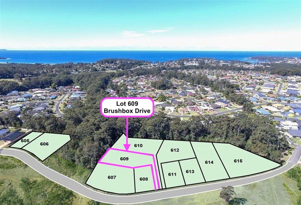 Lot 609 Brushbox Drive, Ulladulla NSW 2539, Image 1