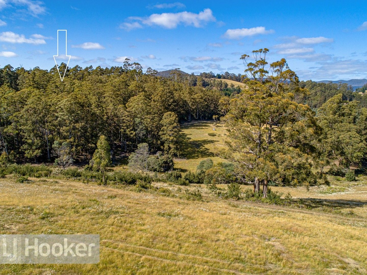 65 Pioneer Road, Kaoota TAS 7150, Image 0