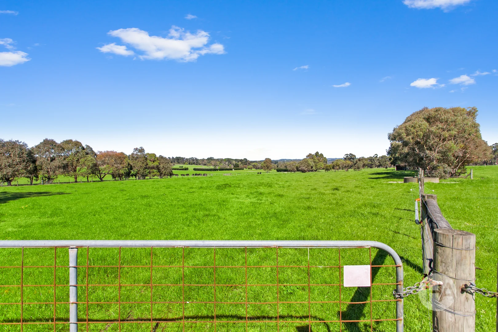 Additional image 16 of 155 Stumpy Gully Road, Balnarring VIC 3926