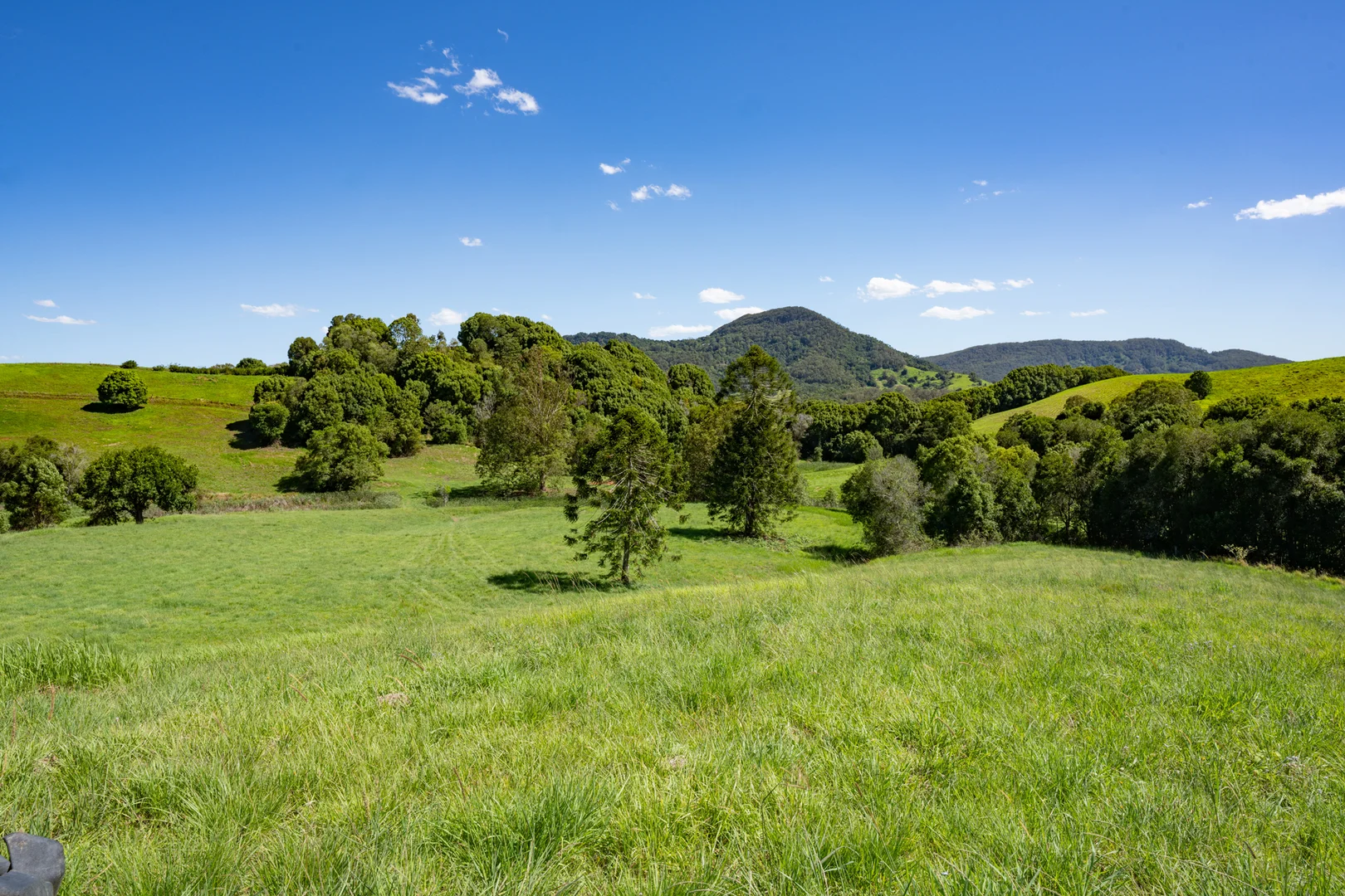 Image 20
