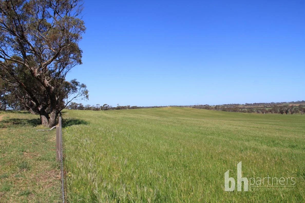 Additional image 12 of Section 332 and Section 330 & 405 Kubenk Road, Rockleigh SA 5254