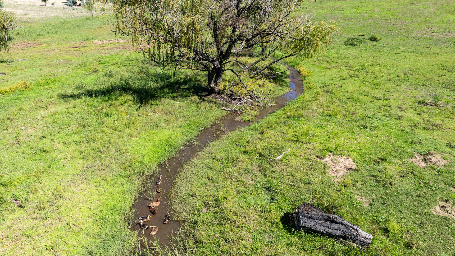 Additional image 5 of 191 Ferndale Road, Woomargama NSW 2644