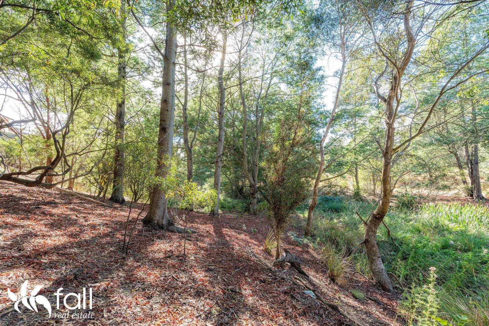 Additional image 23 of 11 Brook Way, Kingston TAS 7050