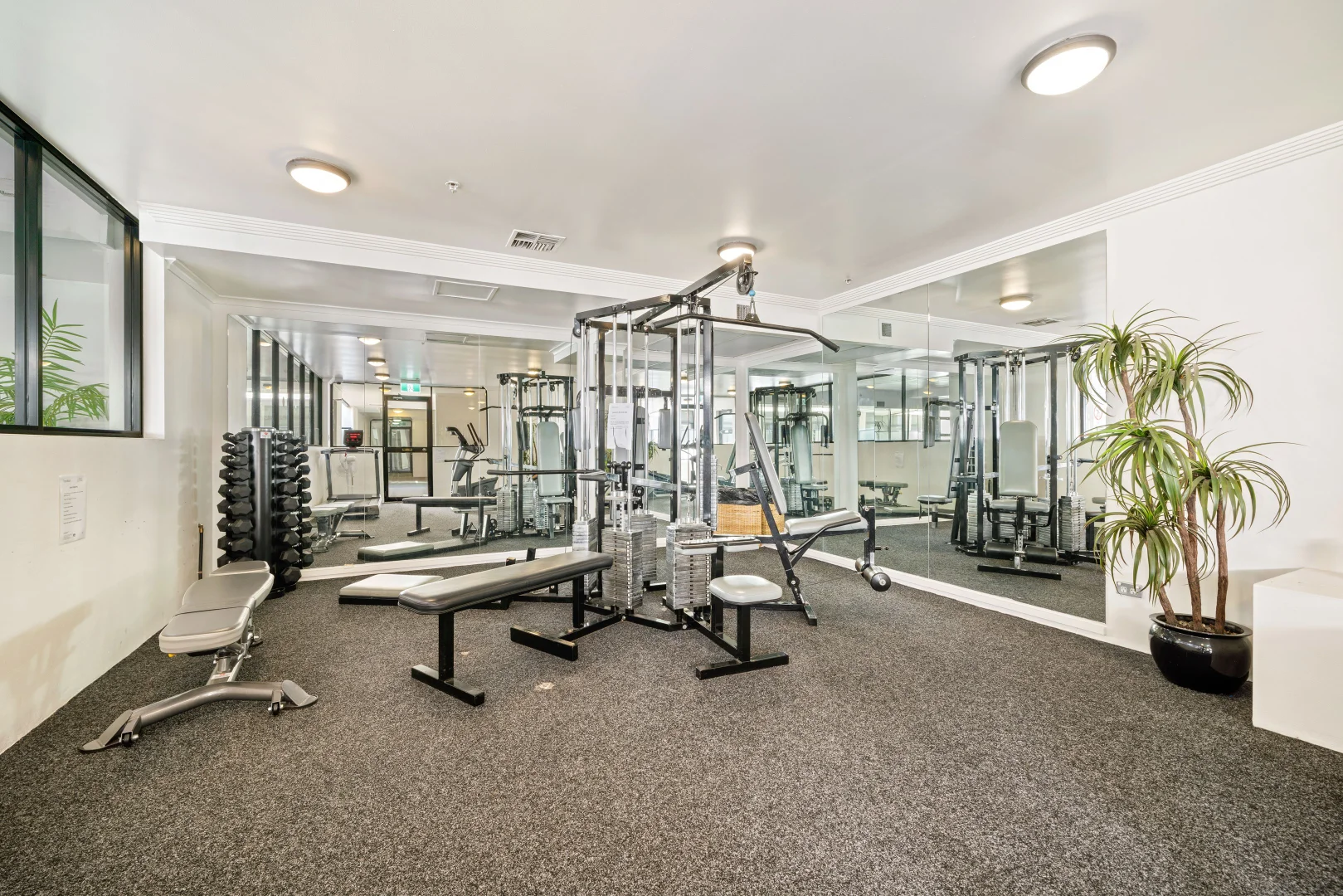 Additional image 7 of 2/17-23 Newland Street, Bondi Junction NSW 2022