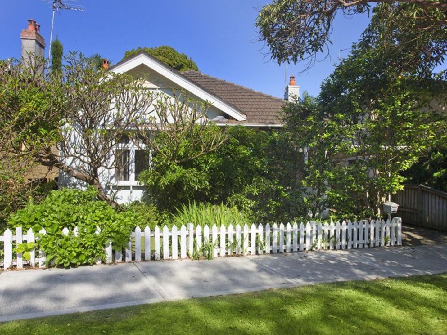 78 Balfour Road, Bellevue Hill NSW 2023, Image 0