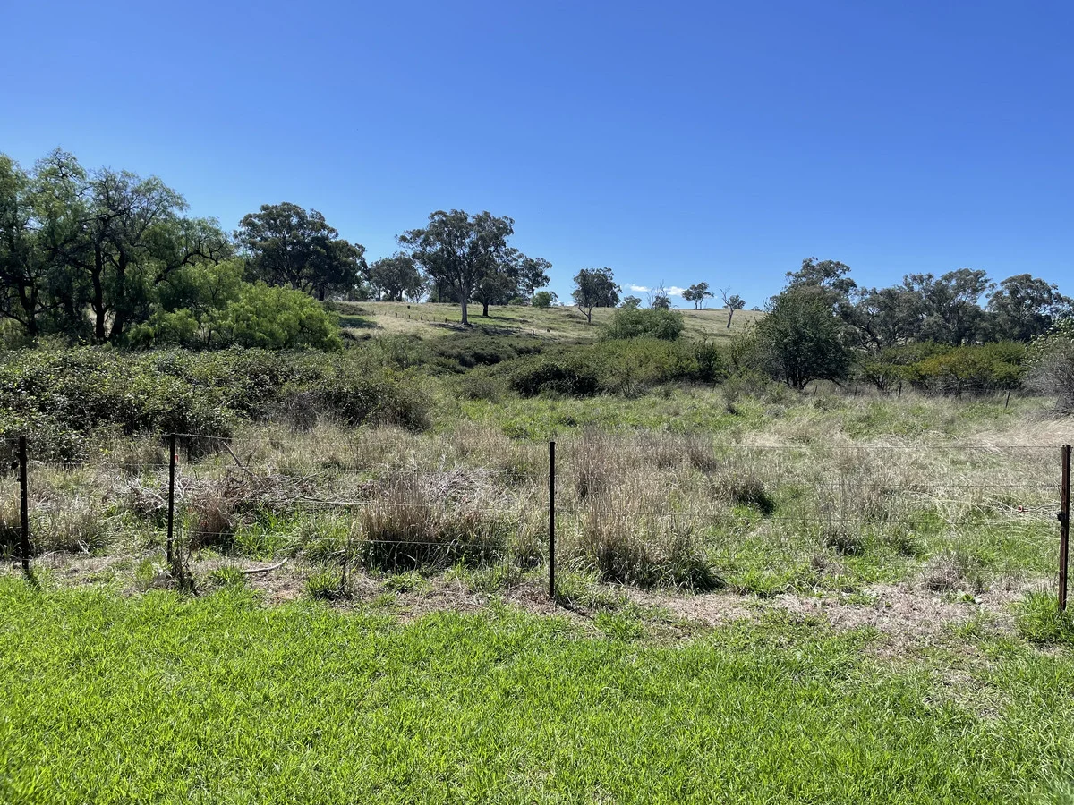 Lot 1 Noyeau Street, Woodstock NSW 2793
