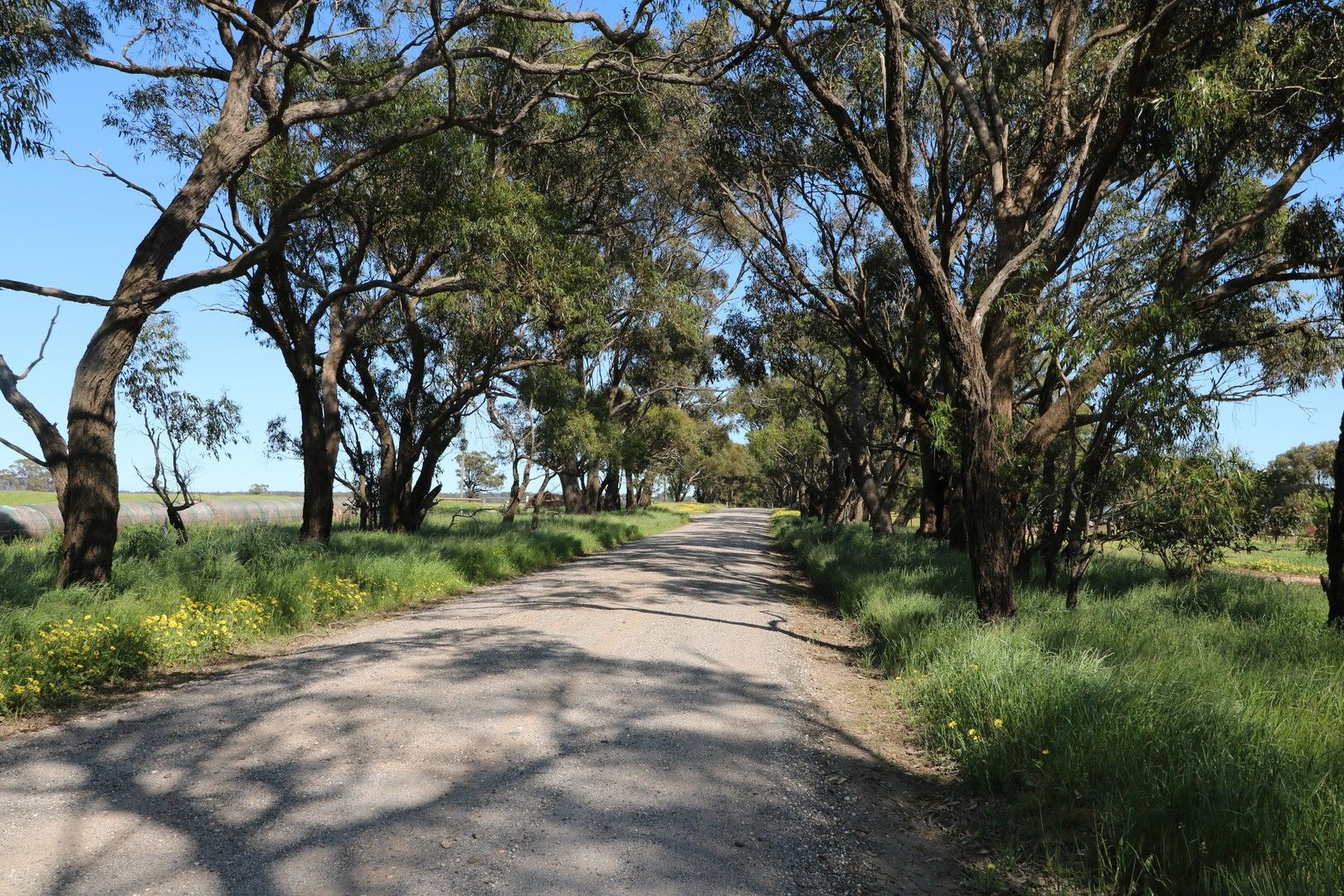 Vacant land in 323 Hokins Road, RAVENSWOOD VIC, 3453