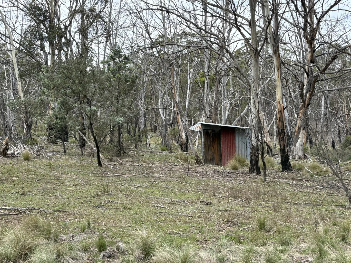 Image 13