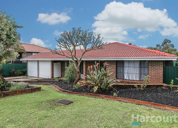 19 Ainslie Court, Kardinya WA 6163