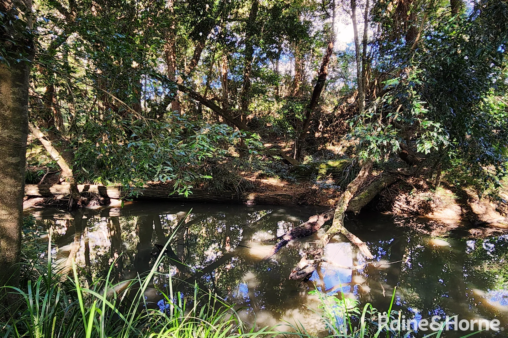 Image 11