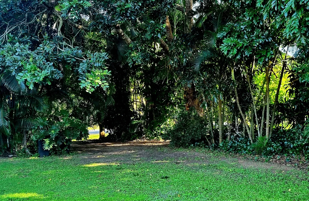 Image 18