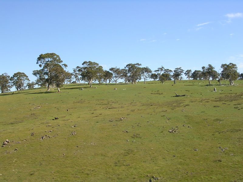 Lot 4 Wiles Fire Track, Wistow SA 5251, Image 2