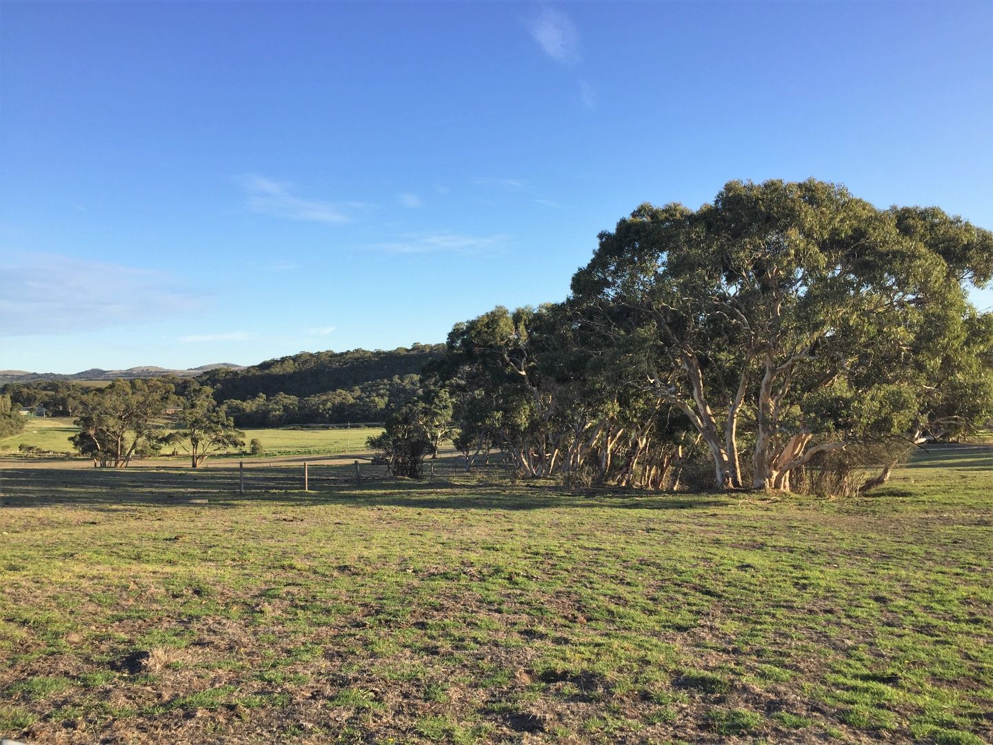 Lot 14 Cleland Gully Road, Tooperang SA 5255, Image 2