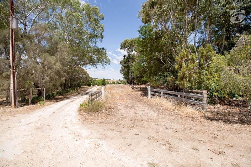 Lot 12 Wilkins Road, Naracoorte SA 5271