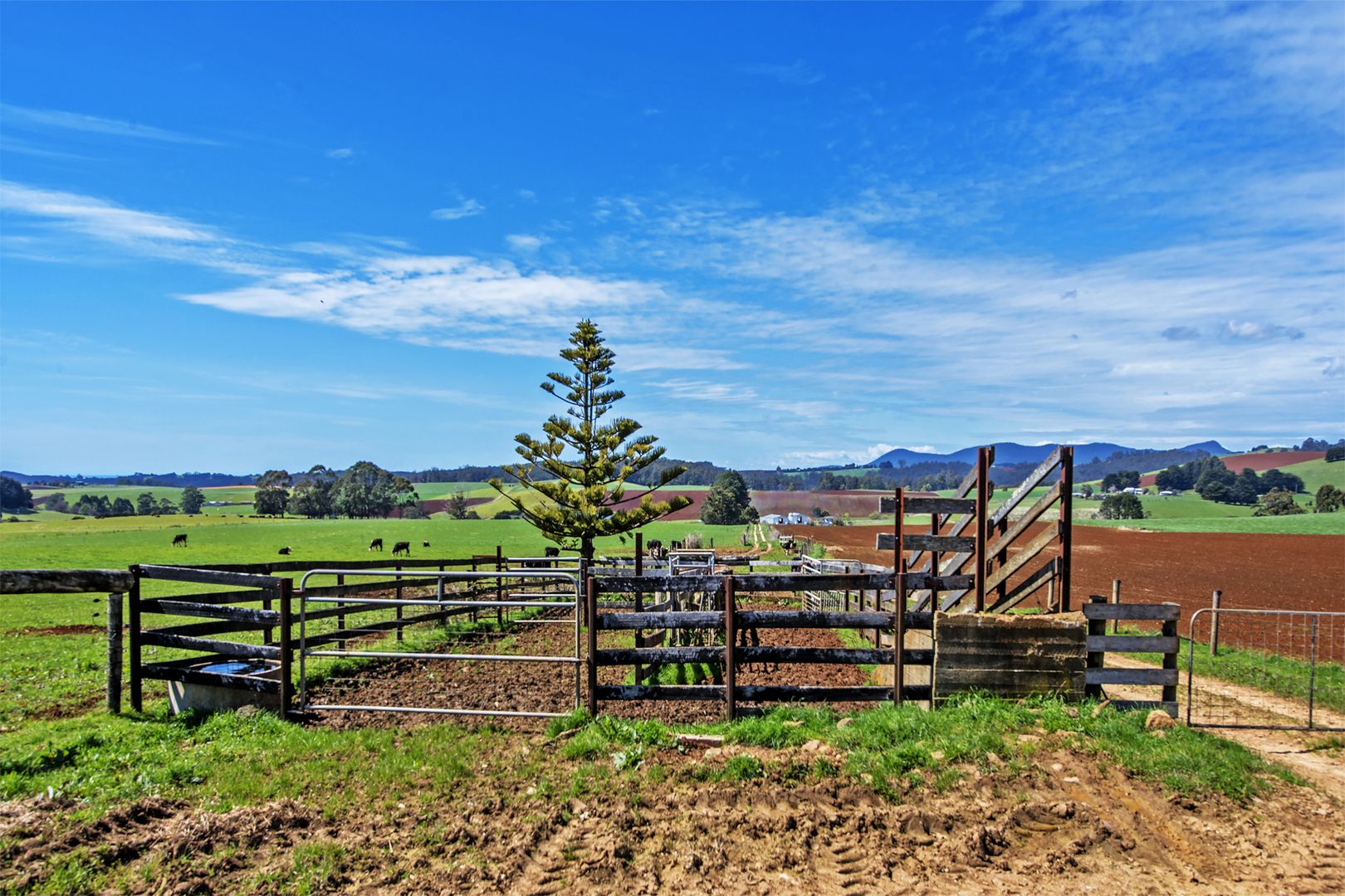 95 Upper Stowport Road, Stowport TAS 7321, Image 2