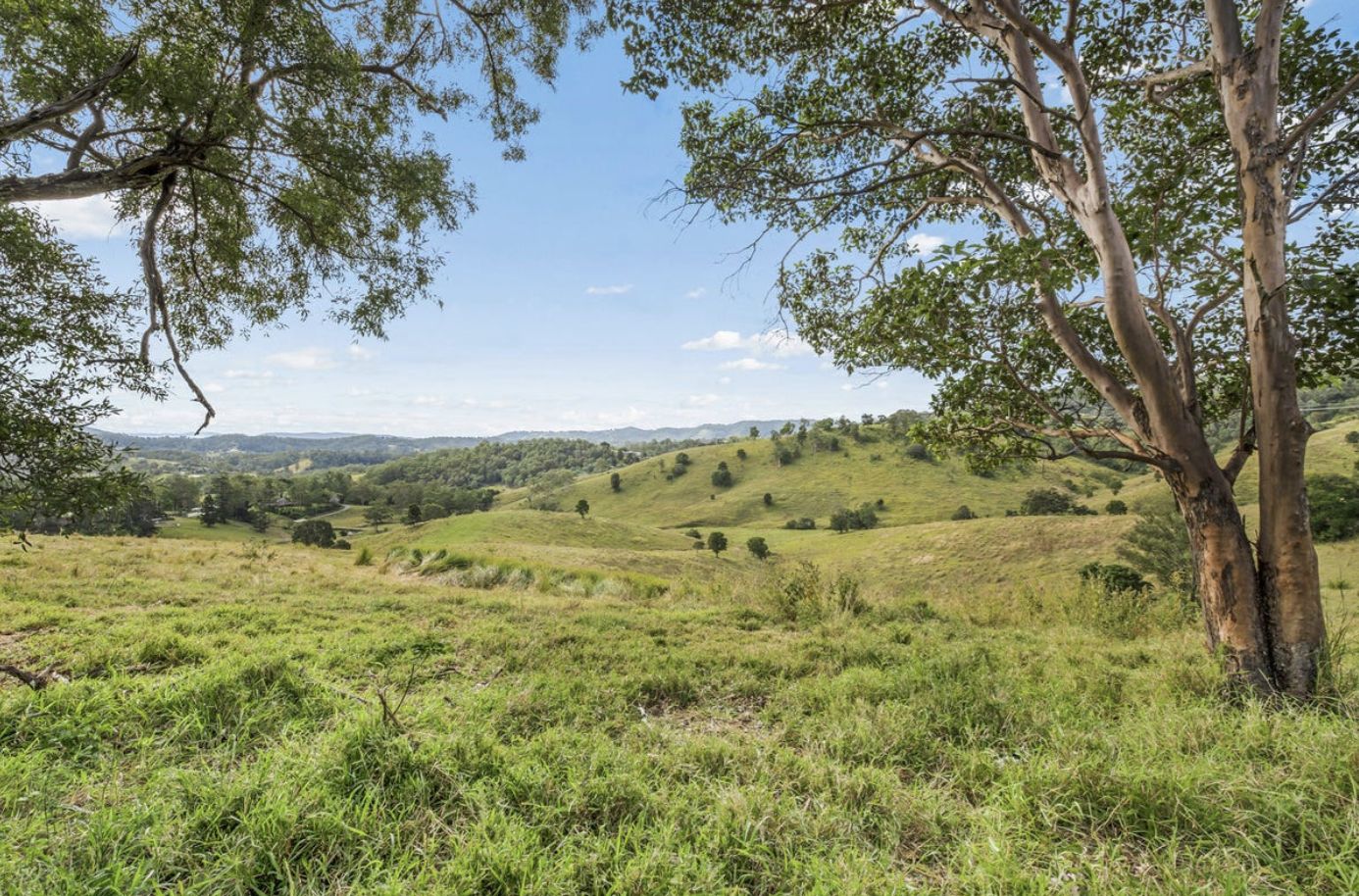 Lot 2/69 Halls Road, Cedar Creek QLD 4520, Image 2