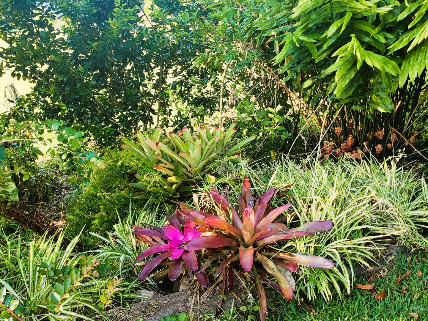 Additional image 27 of 17 Cahill Close, Peeramon QLD 4885