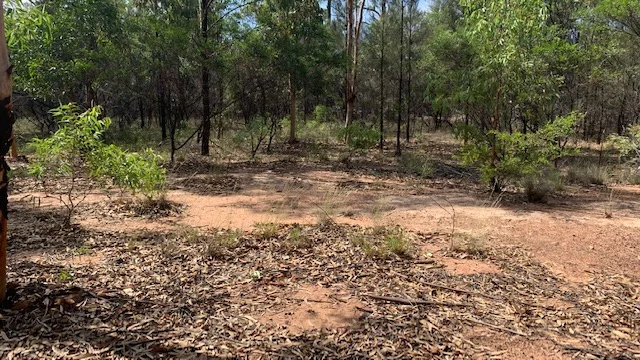 Image 10