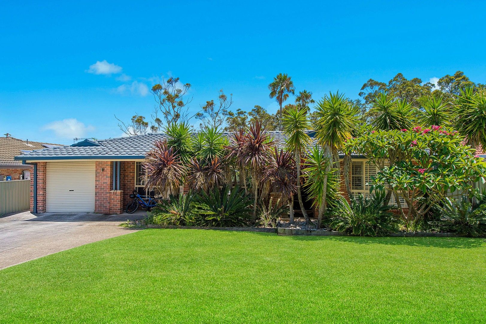 4 Ringtail Close Lakewood NSW 2443 Domain