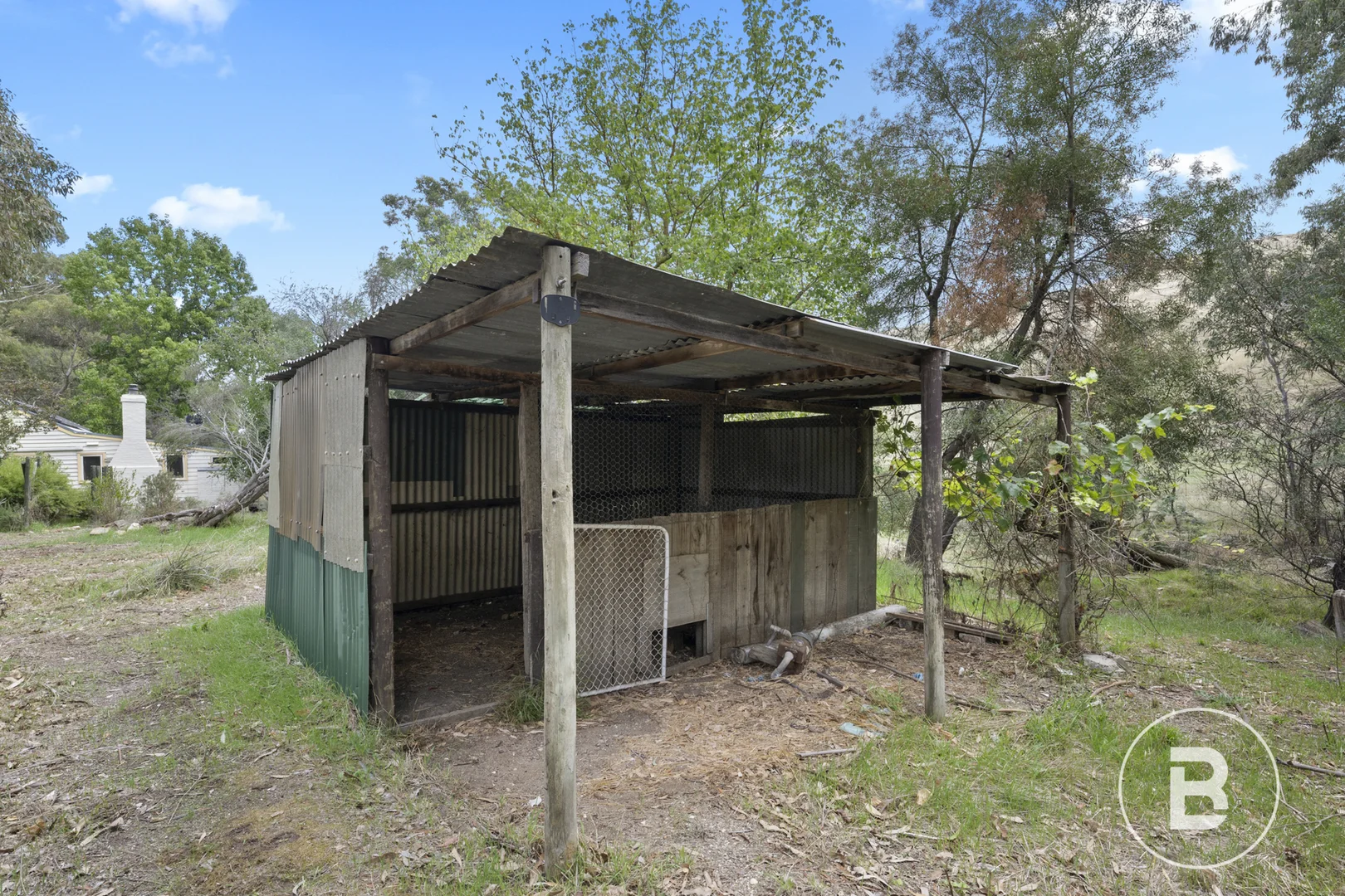Image 13