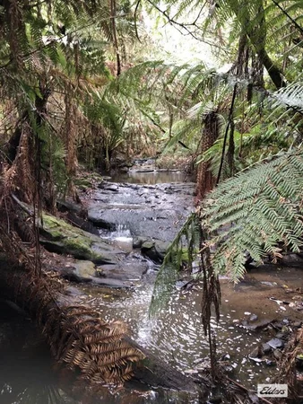 Image 13